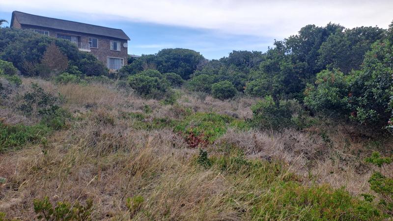 0 Bedroom Property for Sale in Stilbaai Wes Western Cape